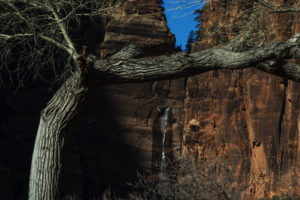 Zion National Park - Waterfall in Utah