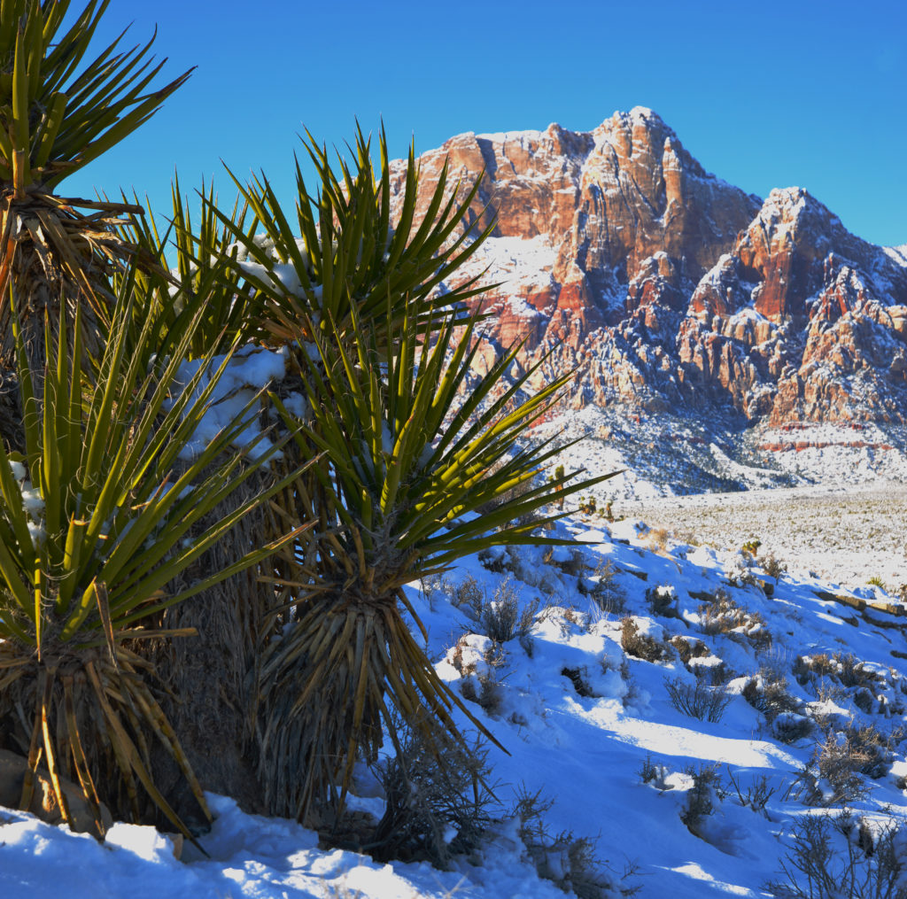 Red Rock Canyon State Park, Early Light with snow